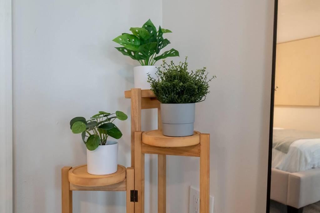 Garden Oasis In Flamingo Park Apartman West Palm Beach Kültér fotó